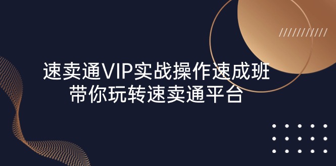 图片[1]-速卖通 VIP实战操作-速成班，带你玩转速卖通平台（23节）-云上仙人资源网