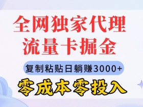 全网独家代理流量卡掘金，复制粘贴，零成本零投入，新手小白有手就行