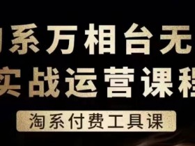 淘系万相台无界实战运营课,淘系付费工具课