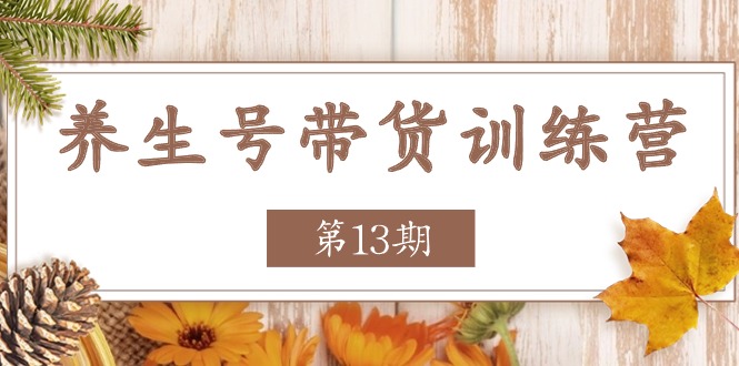 健康养生号卖货夏令营【第13期】盈利更稳定的游戏玩法,使你卖货盈利发生爆炸