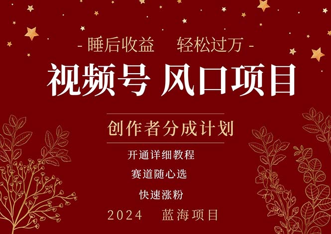 (11331期)拥有睡眠收益的微信视频号大风口项目,轻松月入过万+,多赛道选择,可…