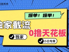 2024独家截流新玩法,小白分分钟上手,轻松实现躺赚