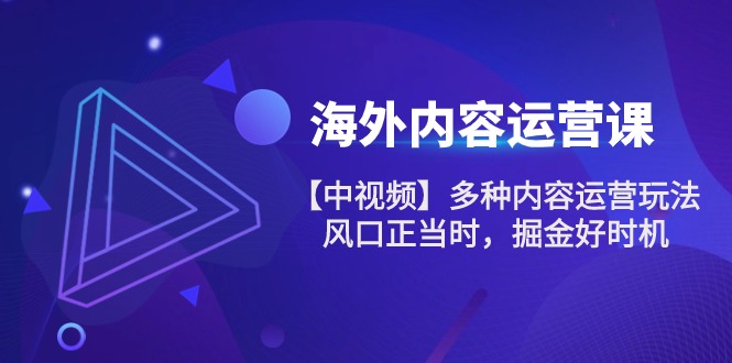 图片[1]-海外内容 运营课【中视频】多种内容运营玩法 风口正当时 掘金好时机-101节-云上仙人资源网