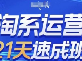 淘系运营21天速成班(更新25年10月),0基础轻松搞定淘系运营,不做假把式