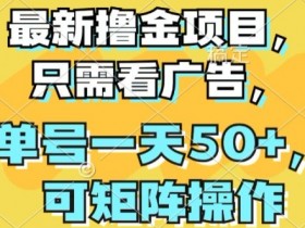最新撸金项目,只需看广告,单号一天50+,可矩阵操作