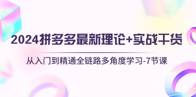 图片[1]-2024拼多多 最新理论+实战干货，从入门到精通全链路多角度学习-7节课-云上仙人资源网