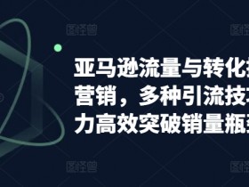 亚马逊流量与转化提升整合营销,多种引流技巧讲解助力高效突破销量瓶颈