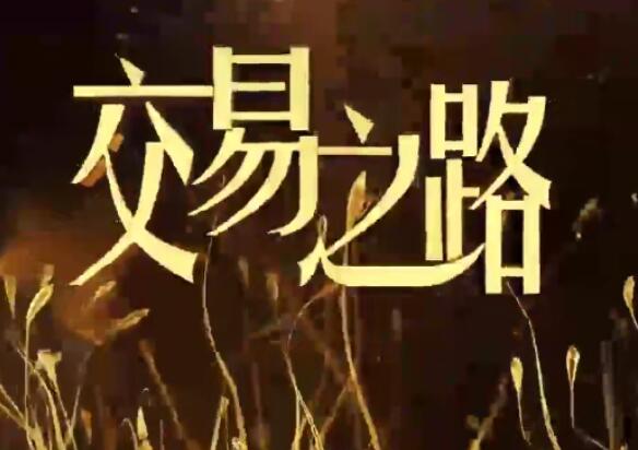 诸葛就是不亮·交易之路初中高级视频（百度网盘）