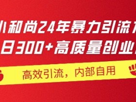 小和尚24年暴力引流方法,单日300+高质量创业粉,高效引流,一键制作