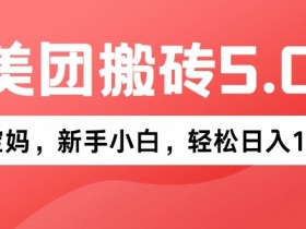 2024年美团搬砖5.0.无论是新手还是宝妈都可轻松驾驭,可长久发展的蓝海项目