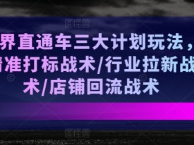 无界直通车三大计划玩法,精准打标战术/行业拉新战术/店铺回流战术