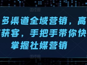 海外多渠道全域营销,高效引流获客,手把手带你快速掌握社媒营销