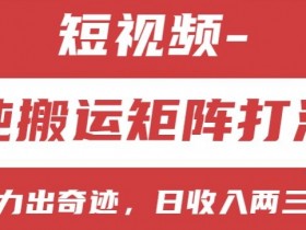 短视频分成计划,纯搬运矩阵打法,大力出奇迹,小白无脑上手,日收入两三张【揭秘】