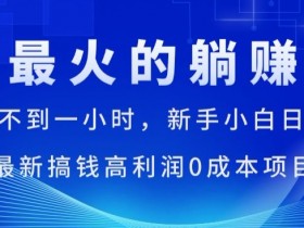 全网最火的躺赚模式,每天操作不到一小时,新手小白日赚1.5k,最新搞钱高利润0成本项目