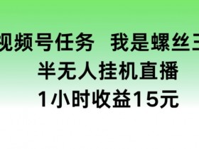 视频号任务,我是螺丝王, 半无人挂机1小时收益15元【揭秘】