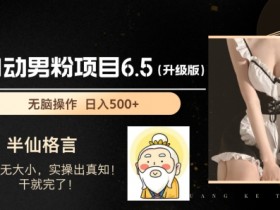 男粉项目6.5升级版,全自动男粉项目,日收入1K+【揭秘】