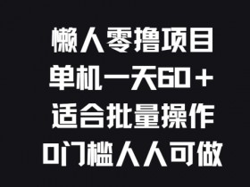 懒人零撸项目，单机一天60+适合批量操作，0门槛人人可做