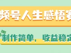 视频号人生感悟赛道,制作简单,收益稳定【揭秘】