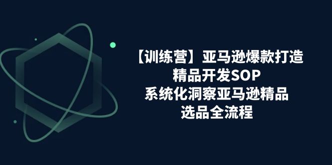图片[1]-【训练营】亚马逊爆款打造之精品开发SOP，系统化洞察亚马逊精品选品全流程-云上仙人资源网