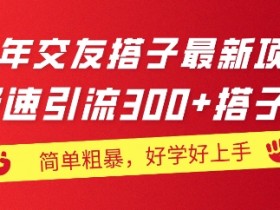 2024年交友搭子最新项目,极速引流300+搭子粉,简单粗暴,好学好上手