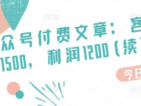 某公众号付费文章:客单价1500,利润1200(续),市场几乎可以说是空白的