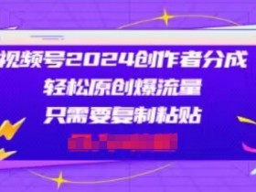 视频号2024创作者分成,片片爆火,会复制粘贴即可,适合小白