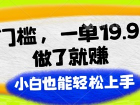 零门槛,一单19.9.做了就赚,小白也能轻松上手