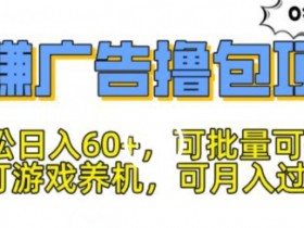 玩赚广告撸包项目,轻松日入60+,可批量可推广