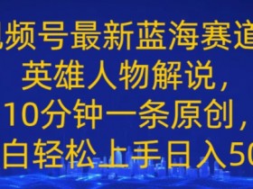 视频号最新蓝海赛道,英雄人物解说,10分钟一条原创,小白轻松上手日入几张
