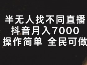 半无人找不同直播,月入7000+,操作简单 全民可做【揭秘】