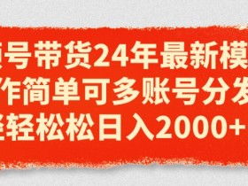 视频号带货24年最新模式,操作简单可多账号分发,轻轻松松日入2k【揭秘】