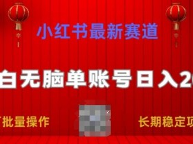 小红书最新赛道,小白无脑单账号日入200,长期稳定项目