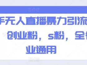 快手无人直播暴力引流玩法,创业粉,s粉,全行业通用