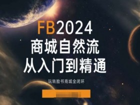 2024Faceboo商城自然流(从入门到精通),玩转脸书商城全闭环