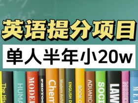 英语提分项目,100%正规项目,单人半年小 20w