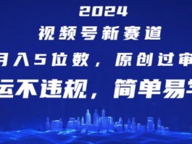 2024视频号新赛道,月入5位数+,原创过审,搬运不违规,简单易学【揭秘】