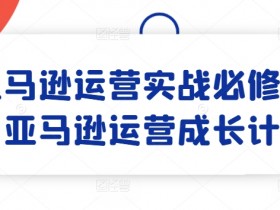 亚马逊运营实战必修课,亚马逊运营成长计划
