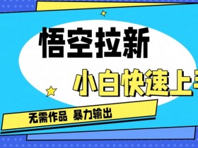 悟空拉新最新独家玩法,无需作品暴力出单,小白快速上手