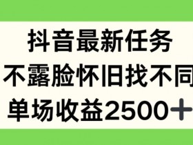 抖音最新任务,不露脸怀旧找不同,单场收益2.5k【揭秘】