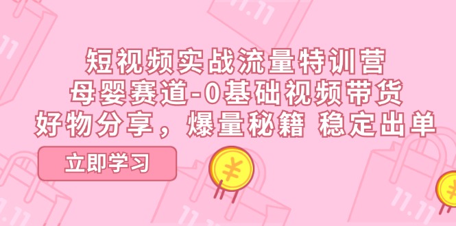 (11373期)短视频实战流量特训营,母婴赛道-0基础带货,好物分享,爆量秘籍 稳定出单