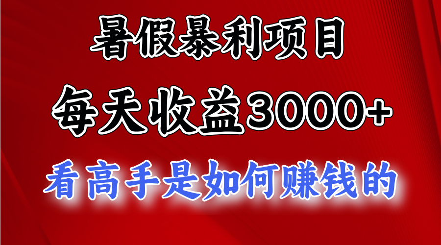 (11422期)暑期赚钱项目,每日盈利3000 加把劲可以达到5000 ,暑期大流量来了