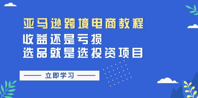 (11432期)亚马逊跨境电商教程:收益还是亏损!选品就是选投资项目