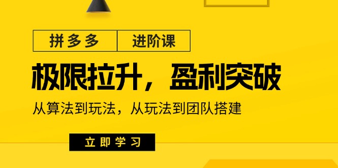 拼多多平台升阶课:极限值拉涨/赢利提升:从优化算法到游戏玩法 从模式到团队搭建(18节)