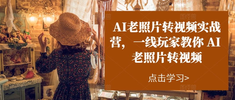 (11477期)AI旧照片转短视频实操训练营,一线游戏玩家教大家AI旧照片转短视频