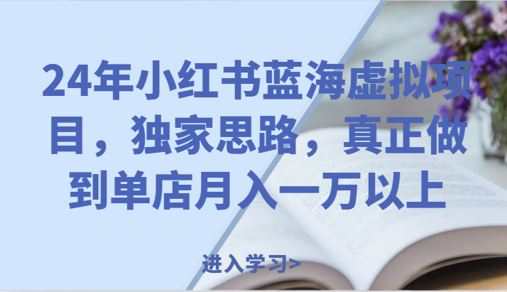 24年小红书的瀚海虚拟资源项目,独家代理构思,充分体现门店月入一万之上。
