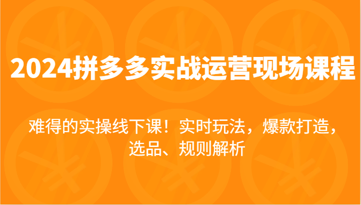 2024拼多多平台实战演练经营当场课,即时游戏玩法,爆款打造,选款、标准分析,不可多得的实际操作面授课!