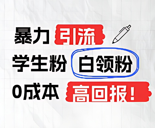暴力行为引流方法学生们粉上班族粉,完爆过去废弃物游戏玩法,0成本费,高收益