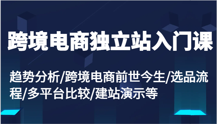 跨境电商电商独立站新手入门课:变化趋势/跨境电子商务来世今生/选款步骤/全平台较为/建网站演试等