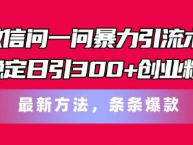微信问一问暴力引流术,稳定日引300+创业粉,最新方法,条条爆款【揭秘】