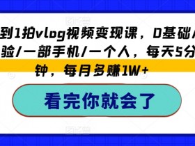 从0到1拍vlog视频变现课,0基础/0经验/一部手机/一个人,每天5分钟,每月多赚1W+